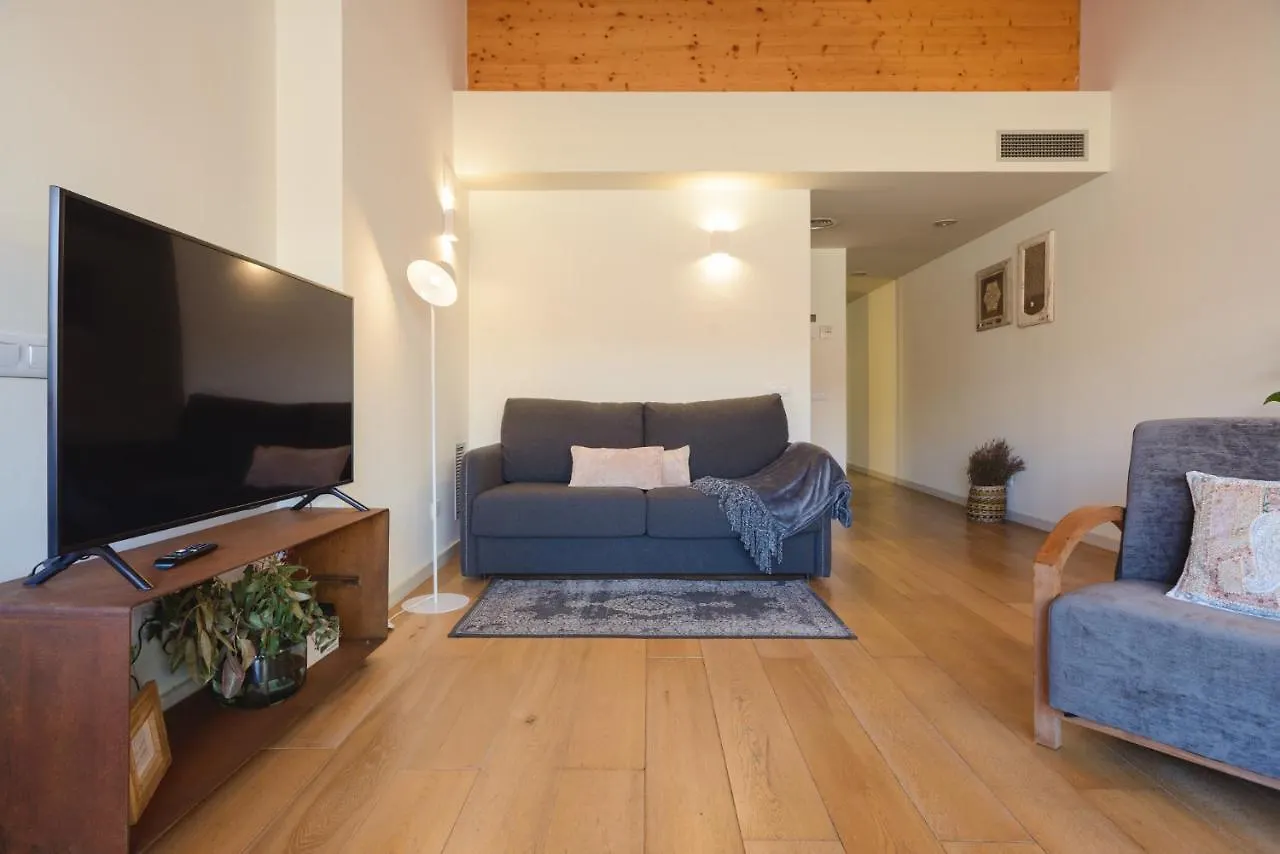 Apg Carrer Nou Atic Apartment Girona